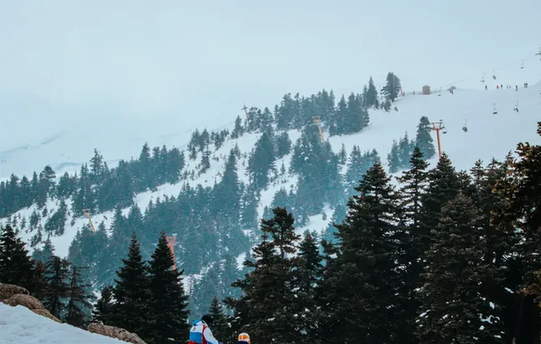 Ski Courses