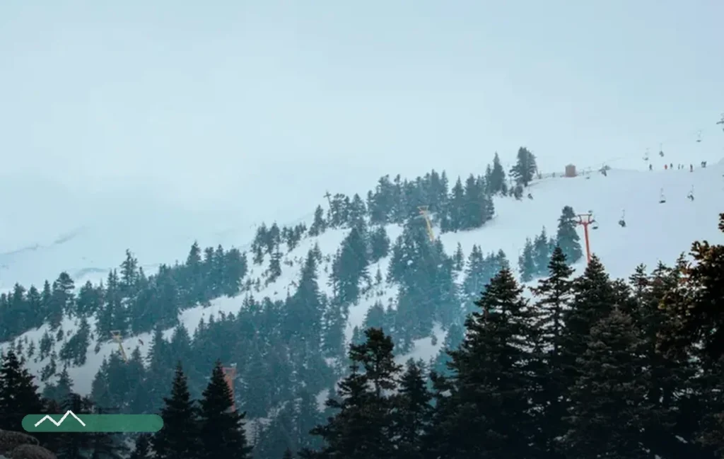 Pahalgam Winter Snow & Intro Ski Holiday — 4N/5D