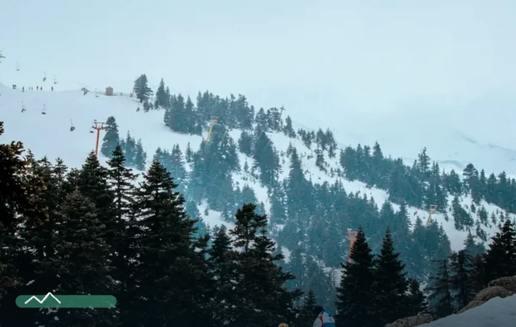 Pahalgam Kashmir Winter Holiday with Ski Session — 5N/6D